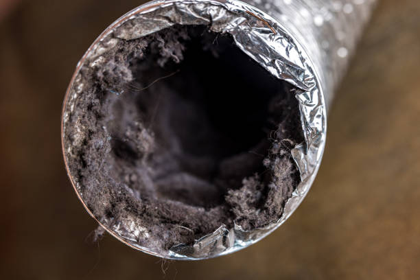 Best Air Duct Cleaning Company Near Me  in Kelseyville, CA